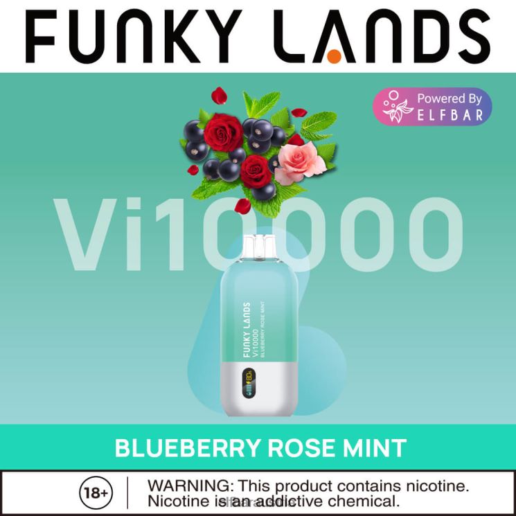 R06XV163 ELFBAR Funky Lands Einweg-Vape VI10000 Züge Blaubeer-Rosen-Minze